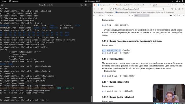 выполнение лаб1 матмод смотреть онлайн
