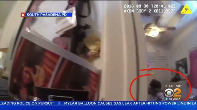 Body Cam Video Shows Moments Before Police Fatally Shoot 'ER' Actress Vanessa Marquez смотреть онлайн