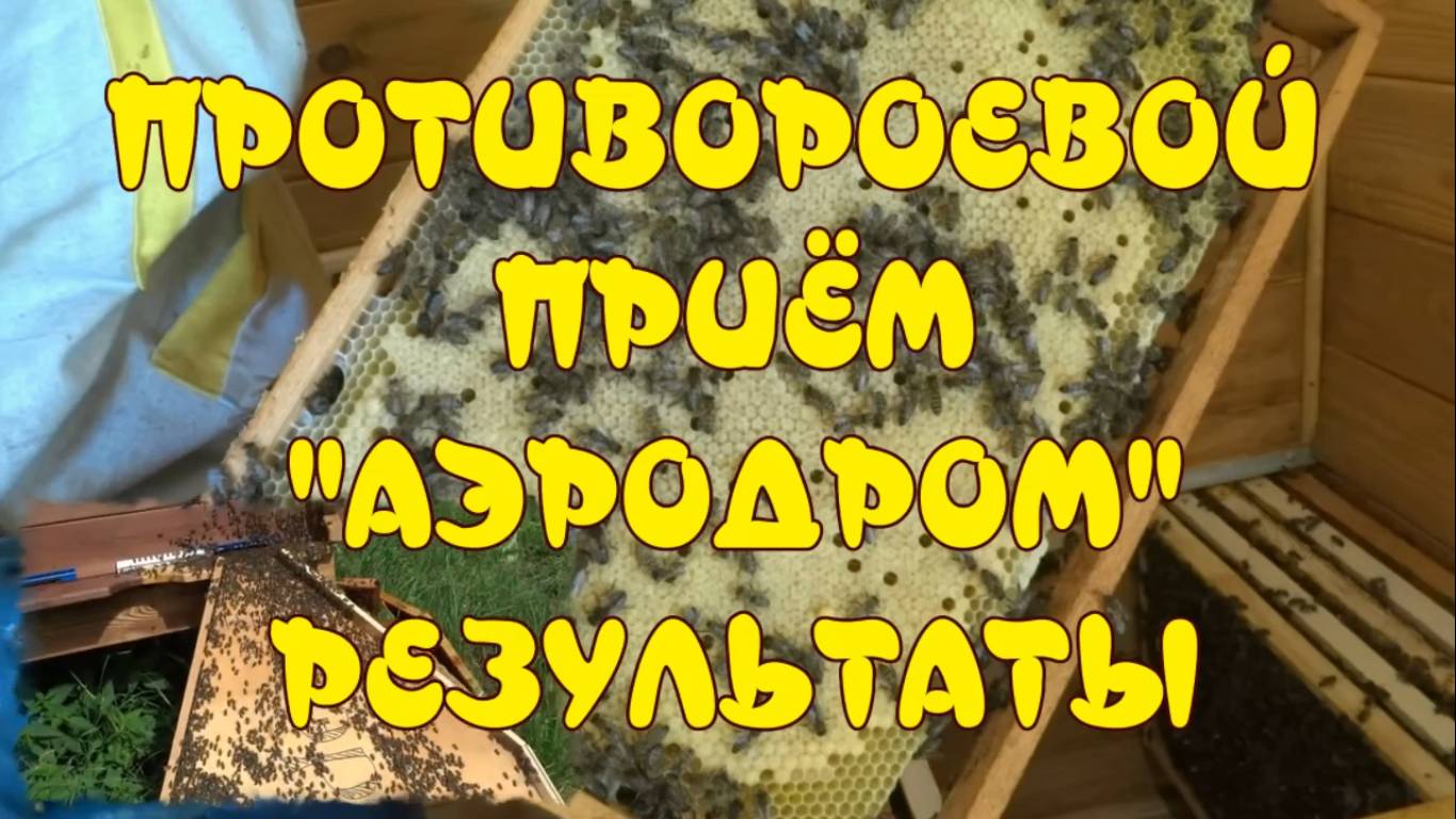 ИЗБАВИЛСЯ ОТ РОЕНИЯ НА 100%! БОРЬБА С РОЕНИЕМ ПЧЁЛ. ПРОТИВОРОЕВОЙ ПРИЁМ _АЭРОДРОМ_. РЕЗУЛЬТАТЫ. смотреть онлайн