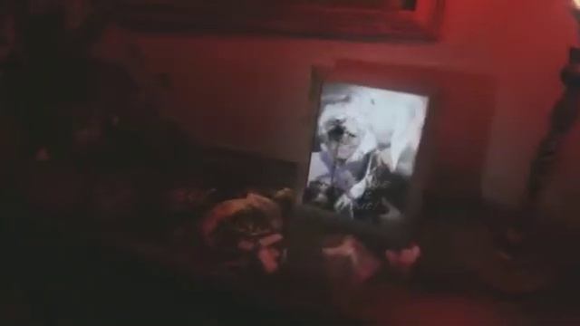 demo Reversed смотреть онлайн
