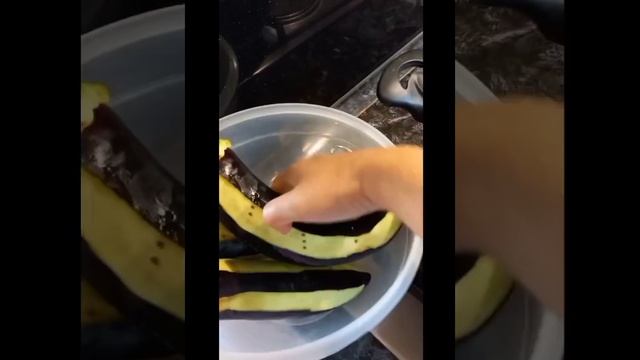 Radiant Rainforest Rejoicings