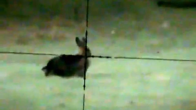 Пневматика по зайцу смотреть онлайн