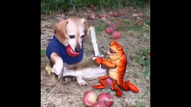 1000004936.mp4 смотреть онлайн