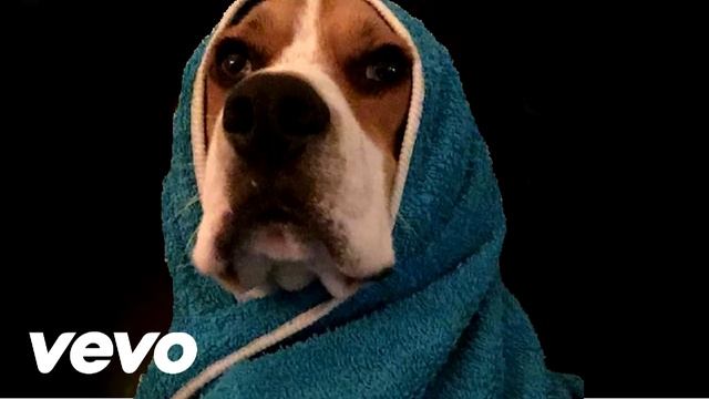 R. Kelly - Pet the Doggy (Remix) (Official Video) смотреть онлайн