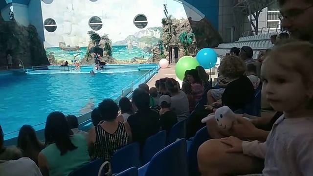 Дельфинарий Немо Харьков август 2018