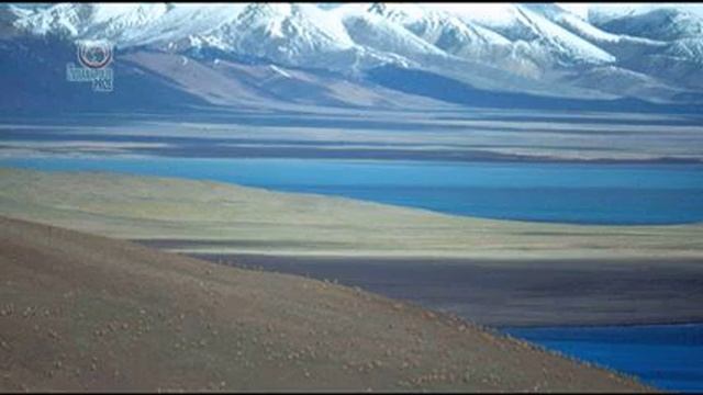 Tibetan Antelope-YouTube Widescreen смотреть онлайн