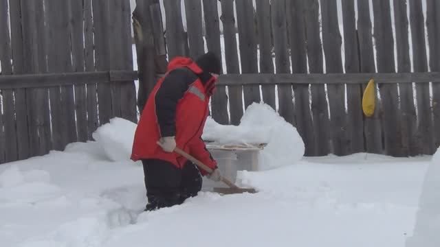 Пасека...1марта 214г