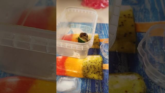 Как мыть улитку смотреть онлайн