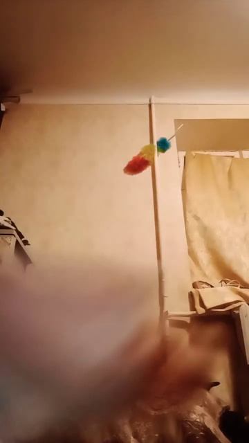 6 января 2024 г. смотреть онлайн