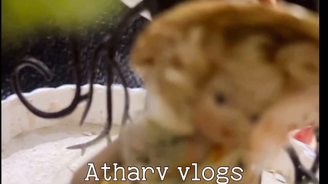 #atharvvlogs#doll#fun#song смотреть онлайн