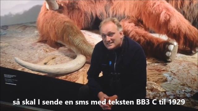 Morten DD har en fantastisk nyhed! смотреть онлайн