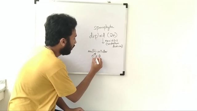 diplontic life cycle | malayalam | | plant kingdom | class 11 | plus one | NCERT | NEET смотреть онлайн