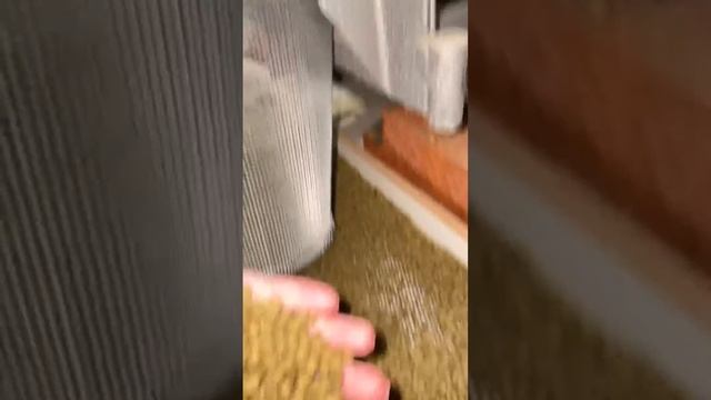 Плавающие Корма для карпов Кои смотреть онлайн