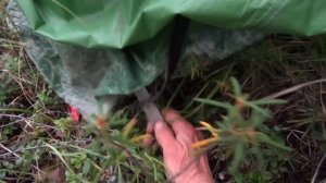 Путешествие в горы Якутии. Часть 11. Не проплыть посёлок Югорёнок.