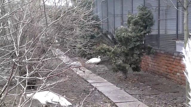 20160302 120301 смотреть онлайн