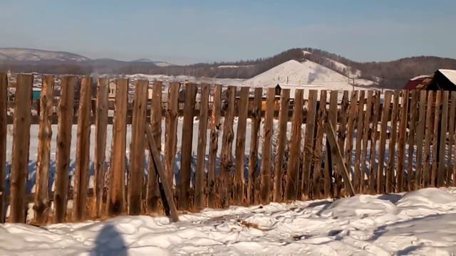 Голодная птица смотреть онлайн