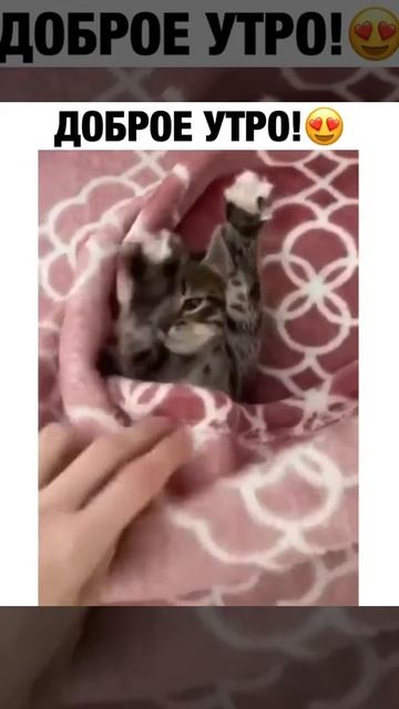 ДОБРОЕ УТРО!