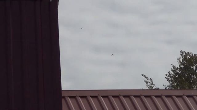 полёт типплеров 04 05 2014г смотреть онлайн