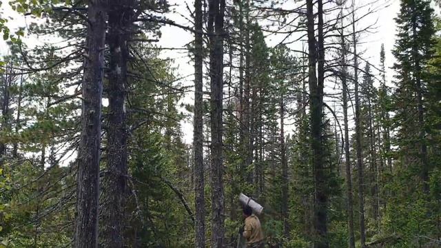 за орехом смотреть онлайн