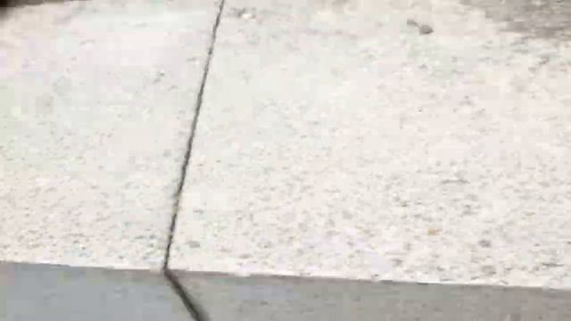 Голубь залетел на фонтан смотреть онлайн