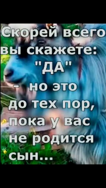 все ли мужики КОЗЛЫ ???