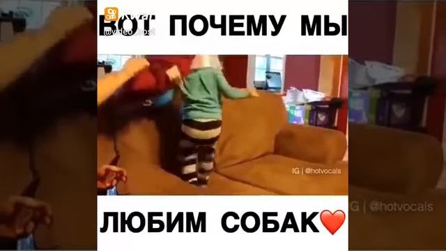 Собаки защищают детей! смотреть онлайн