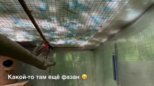 РОСТОКИНО смотреть онлайн