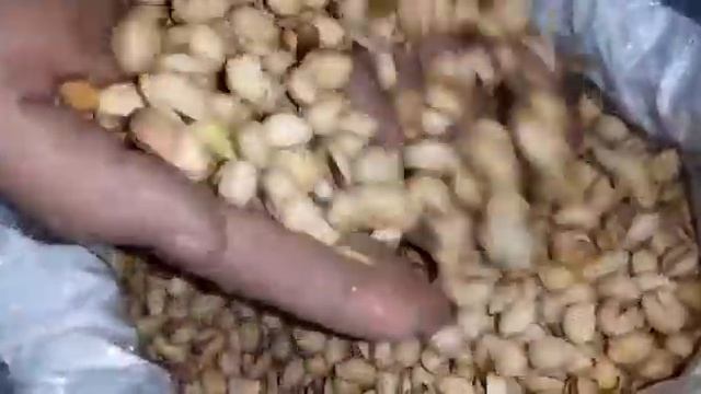 фисташки фандуги , самовывоз Мск натуралка 28-30 смотреть онлайн