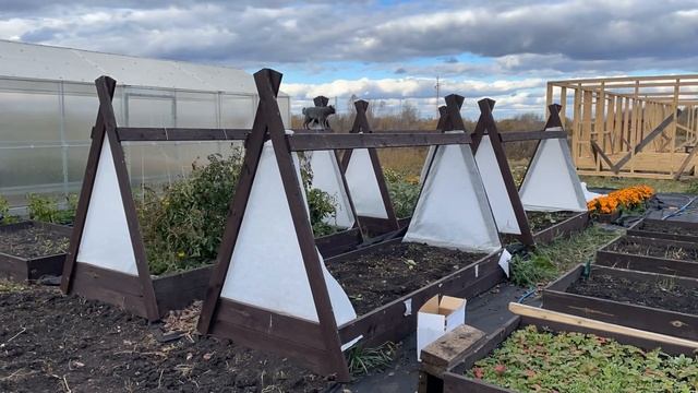 Собираю урожай и сажаю зимний чеснок смотреть онлайн