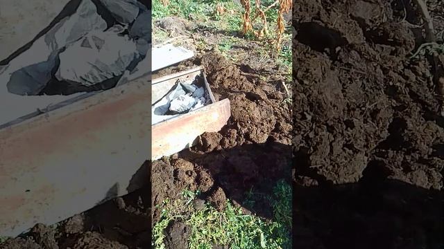 Табака Сибири. Ферментатор Бирюса. смотреть онлайн