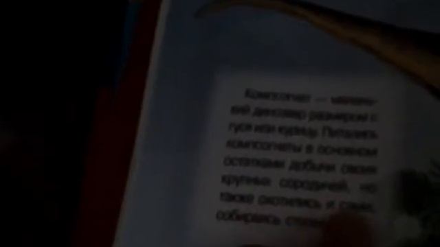 3#динозавры читаем