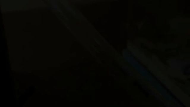 Colony Update: Dinosaur Ants Full House
