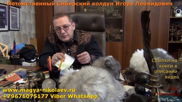 Что делать если подкинули цепь с ошейником? смотреть онлайн