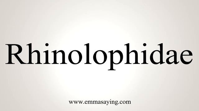 How To Say Rhinolophidae смотреть онлайн