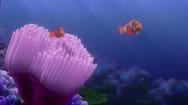 Finding Nemo Barracuda смотреть онлайн