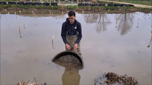 Le due cose importanti da fare nel laghetto ad inizio primavera смотреть онлайн