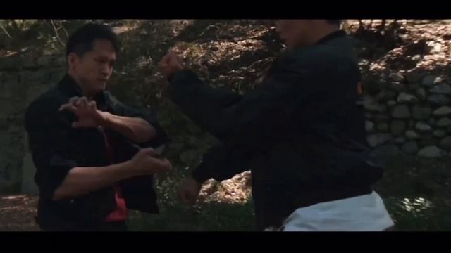 Leopard Kung fu step by step tutorial 2024 ; part 1 / 豹拳教学 смотреть онлайн