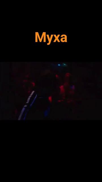 Муха#дискотека#shorts