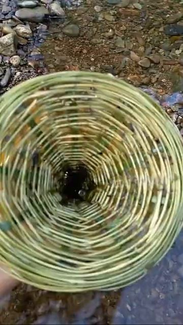 Man Catching Fish | Sea Animal | Fresh Water Animal - #Shorts Video#70 смотреть онлайн