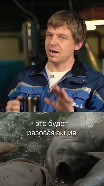 Никогда не ловите так рыбу, иначе сядете в тюрьму! #рыба #рыбалка #рыбак #рыбы #узв #пруд смотреть онлайн