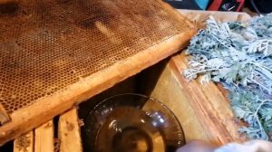 Как хранить рамки с мёдом и сушью, моль ест рамки портит сот
