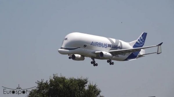 New AIRBUS BELUGA XL | Beluga XL5 | First Flight at Toulouse Blagnac Airport