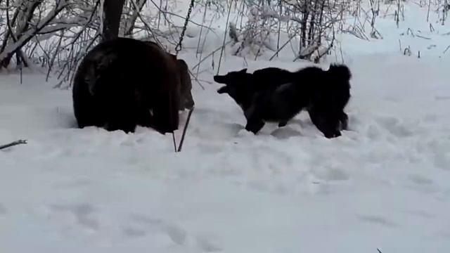 SAM 0430 смотреть онлайн