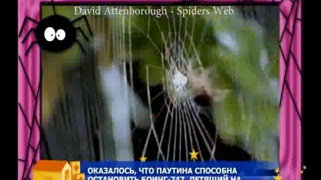 Шудон Корка смотреть онлайн