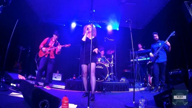 BIRD Oudewater 18 01 2019 Teardrops смотреть онлайн