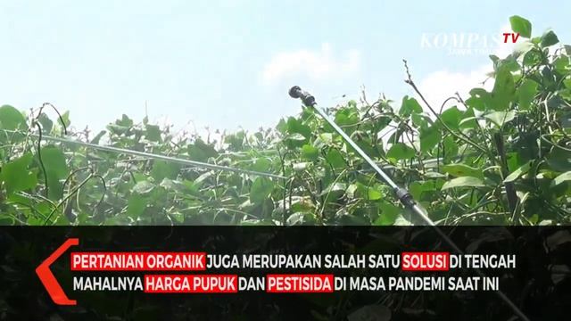 Siasati Mahalnya Harga, Petani di Blitar Beralih ke Pupuk Organik смотреть онлайн