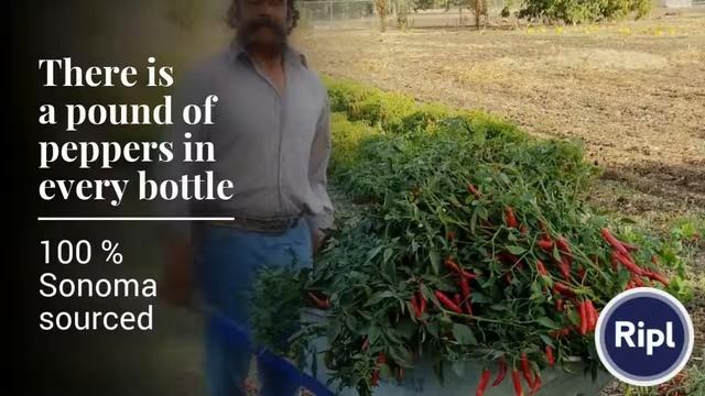 There is a pound of peppers in every bottle смотреть онлайн