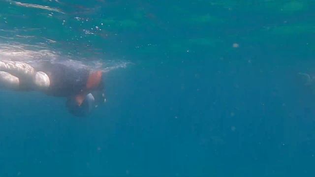 Honeymoon in Cabo смотреть онлайн