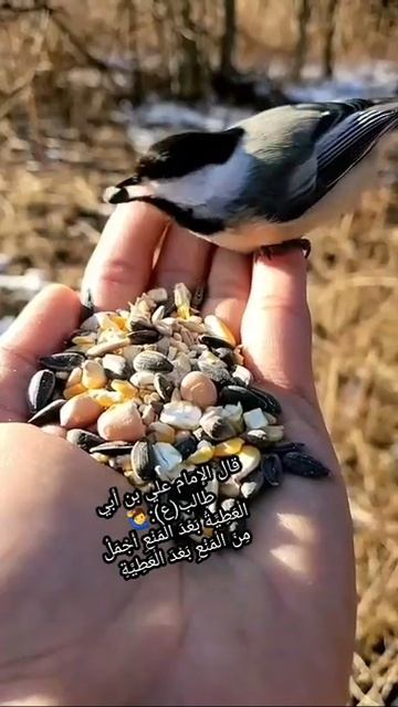 ١٥ يونيو ٢٠٢٢