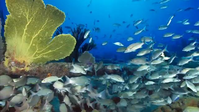 Robert Maria Wolter - Deep Morning (D.A.N.A. Mix) смотреть онлайн